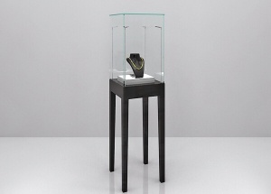 Glass display case for boutique jewelry watch