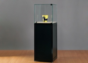 black pedestal showcase glass museum with hinged door