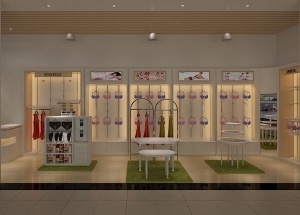 Fashion lingerie shop display with interior design