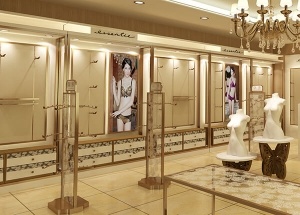 bra display rack for lingerie store interior design