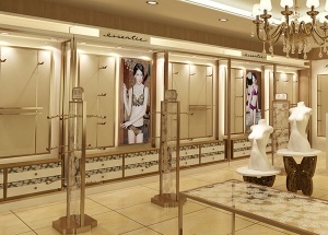 bra display rack
